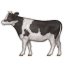 :cow2: