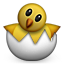 :hatching_chick: